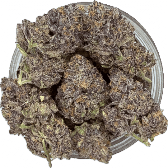Rainbow Zangria by Gas Godz (Exclusive) (New Batch)