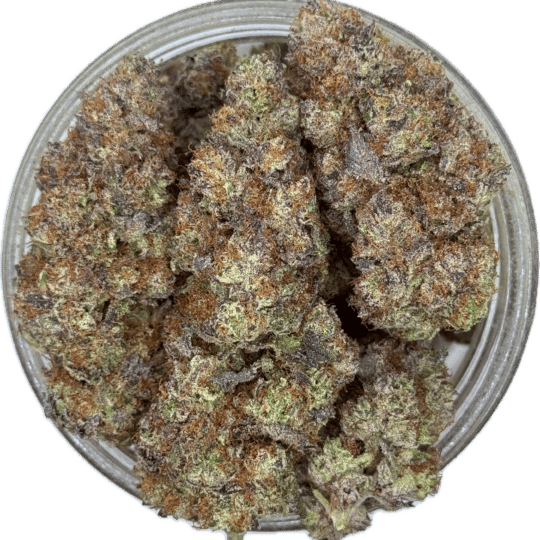 Sour Jamaican Lime by Terpy Vibes