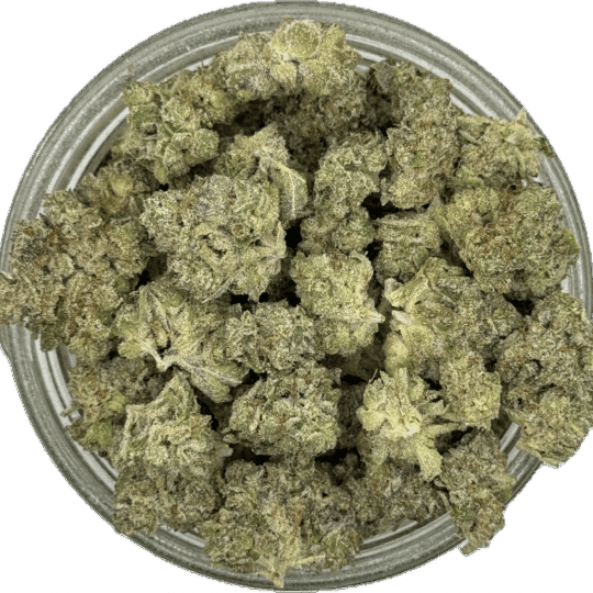 Pigeon Pink Smalls by Heavy Pigeon