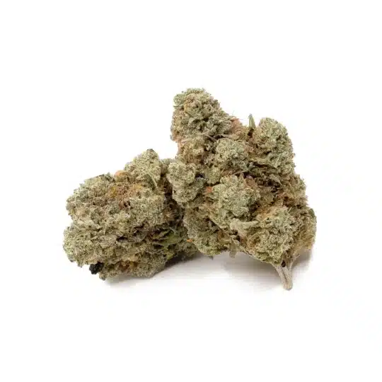 Jokerz by Lucky Farms