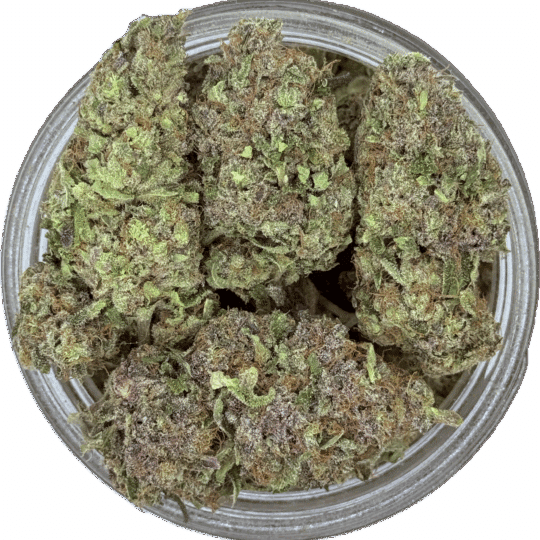 Frosted Fruit Cake x Lemon Cherry Gelato by Green Cabin Collective