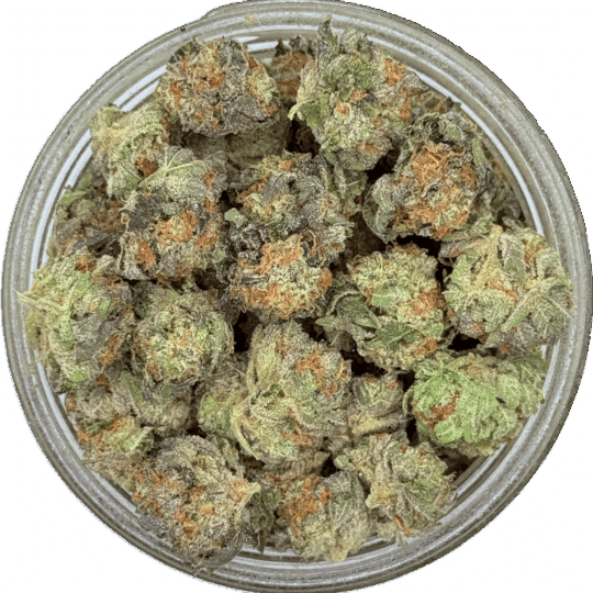 Jellylicious Smalls by Kingsmen Crew