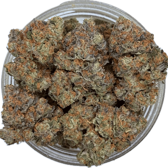 2x4 by Paid By Pounds