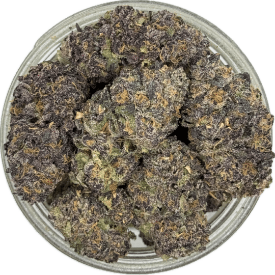 Push Pop by Pacific Bud Boys