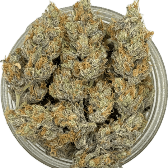 High C by Paid By Pounds