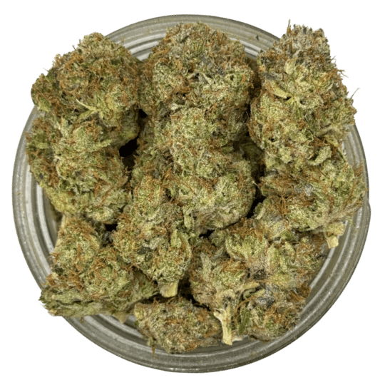 Master Kush by Private ACMPR