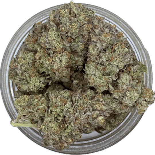 Petro Chem by Paid By Pounds