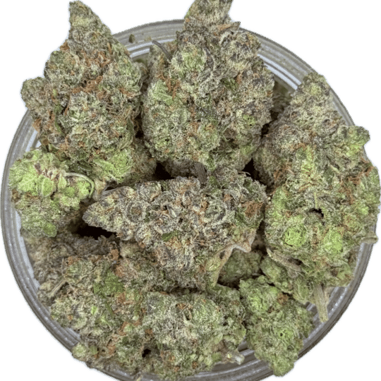 Pop Rocks by Private ACMPR