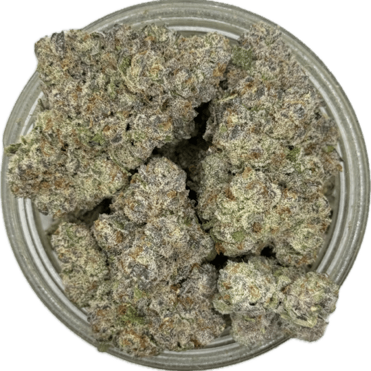 Sherb Cocktail by Paid By Pounds