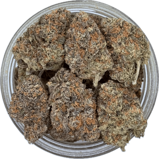 Candyland by Private ACMPR