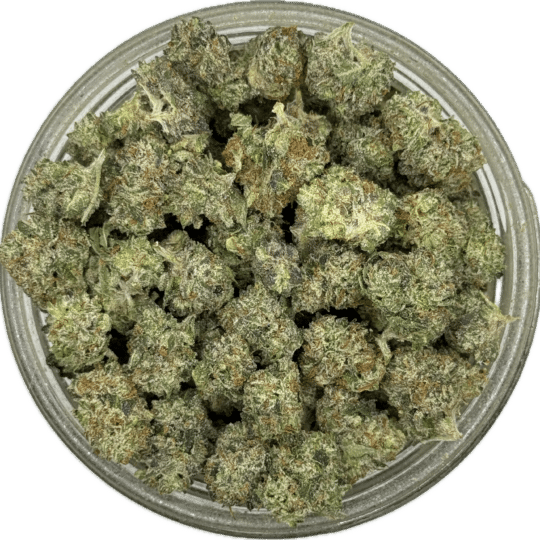 El Chapo Smalls by Terpy Vibes