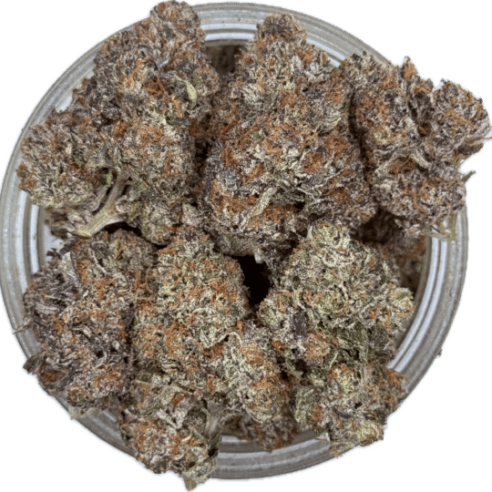 Arizona Ice Tea by Tuna Room (Exclusive)