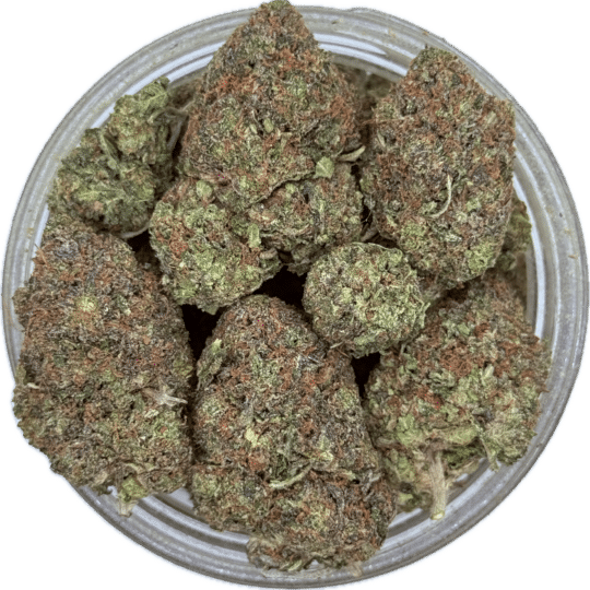 Rockstar Pink by Private ACMPR