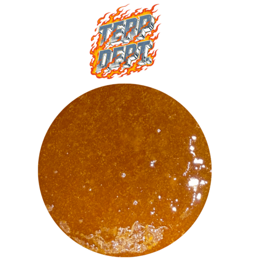 Terp Dept FSE (2g)